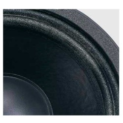 Altavoz 10"