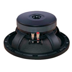 Altavoz 10"